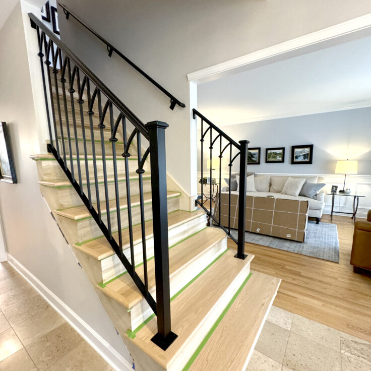 R74 - Railings in Naperville - 1