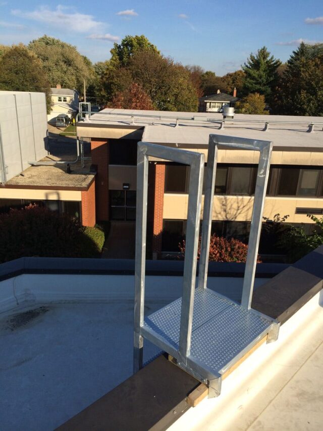 roof access ladder