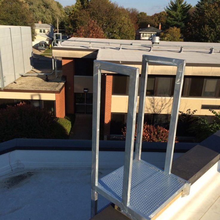 roof access ladder