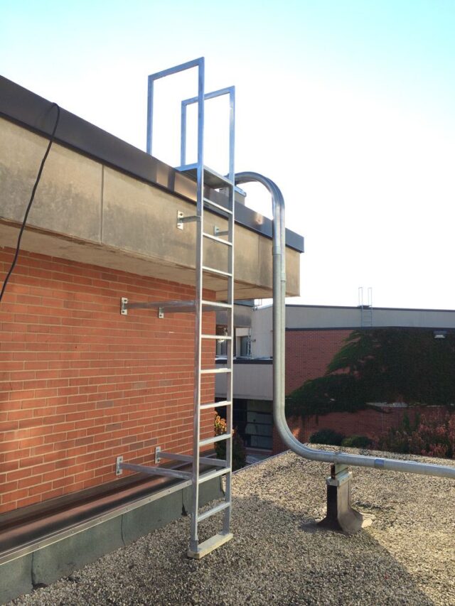 galvanized roof access ladder