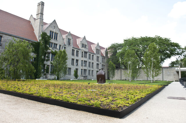 commercial-lawn-edging